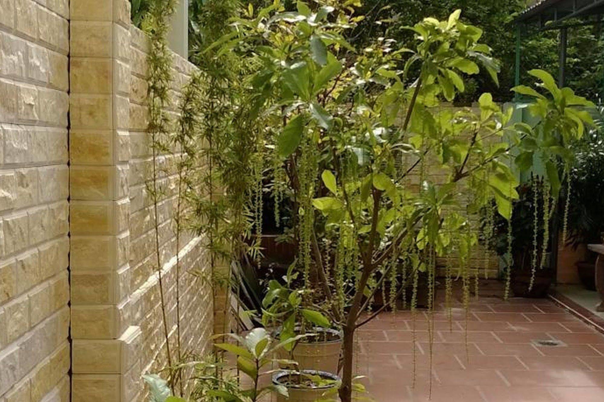 Hi Hop Yen Homestay Hoi An Exterior foto